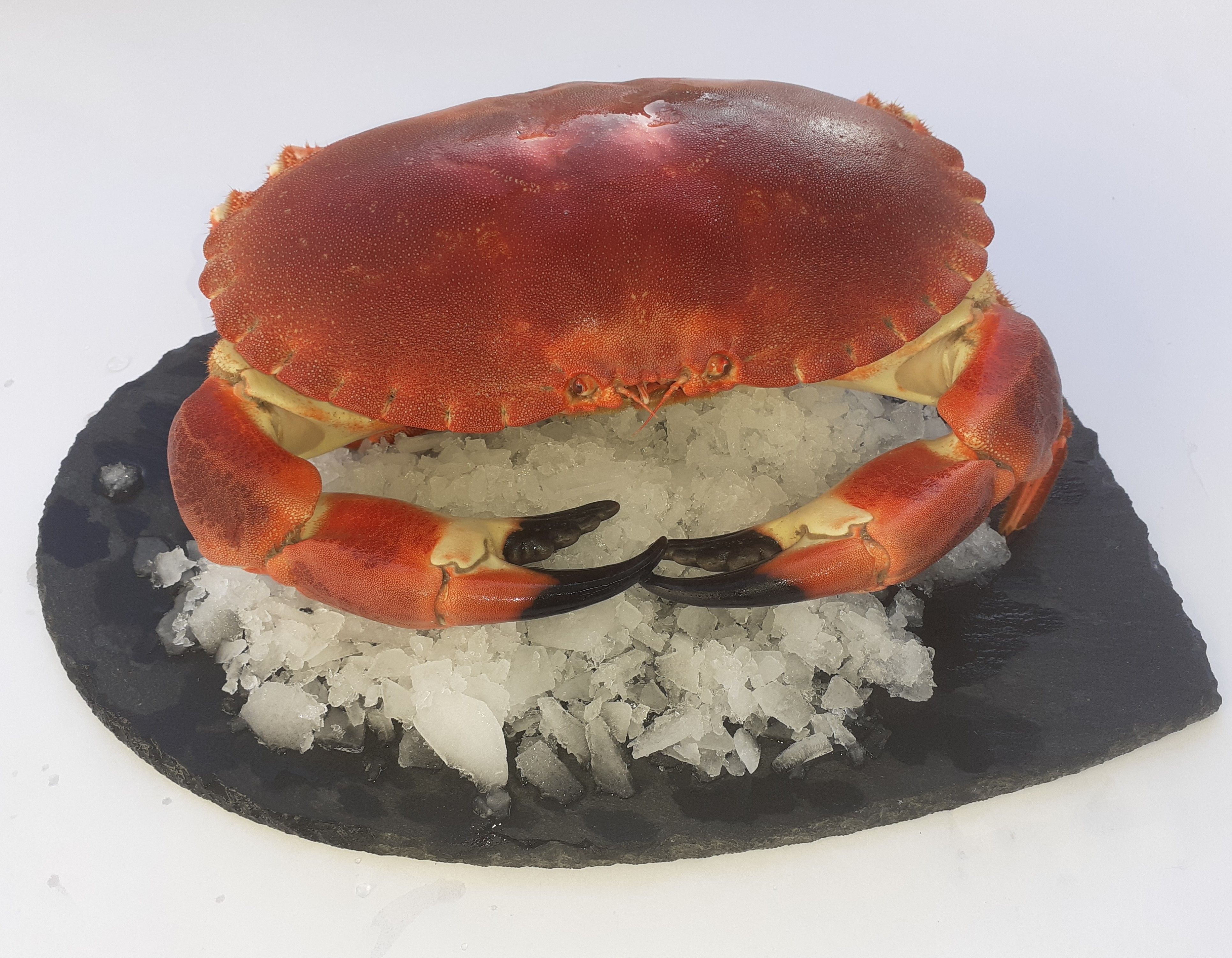 Fresh Cooked Cornish Hen Crab The Real Cornish Crab Company Limited